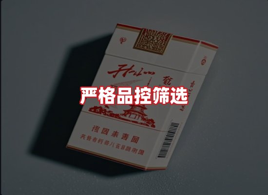专业团队